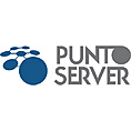 Punto Server